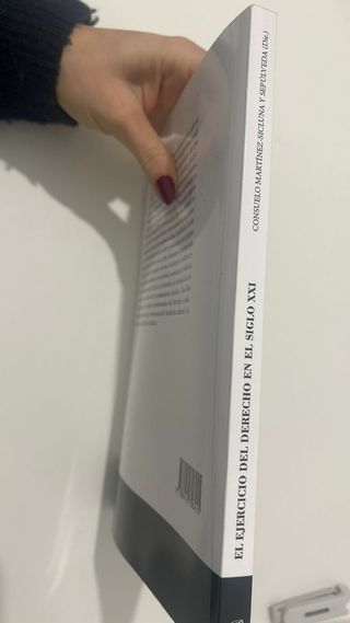 El ejercicio del derecho en el siglo XXI: Princ...