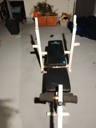 Press banca y barra con discos