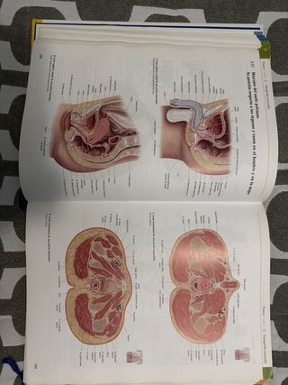 Texto y Atlas Anatom.3aEd,T3: Cabeza, Cuello y ...