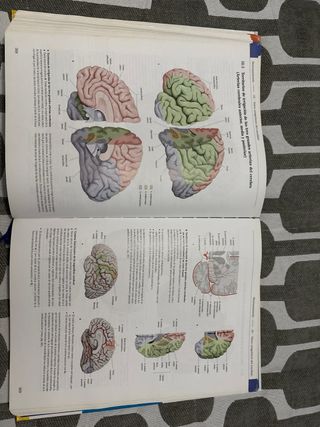 Texto y Atlas Anatom.3aEd,T3: Cabeza, Cuello y ...