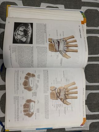 Texto y Atlas Anatom.3aEd,T3: Cabeza, Cuello y ...