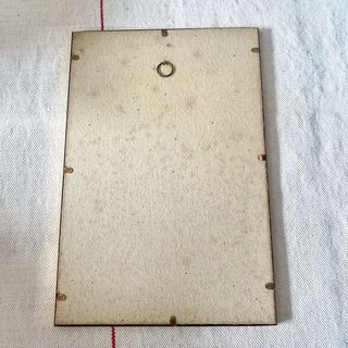 Pareja cuadros aves antiguas - Ornitología