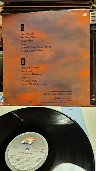 Vinilo Vaya Con Dios Night Owls