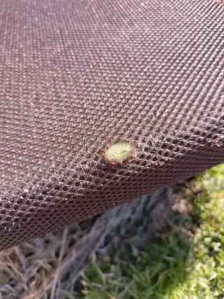 Somier 135x190x30 Marrón