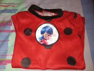 Disfraz Ladybug