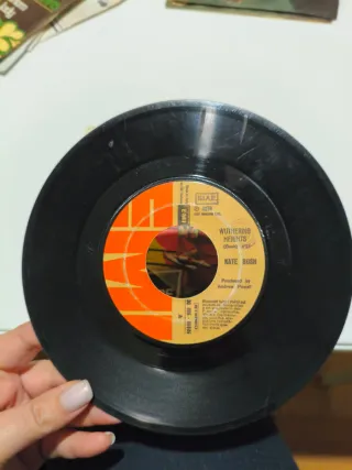 Kate Bush Wuthering Heights 45 giri