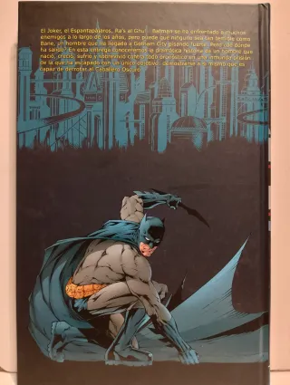 LOTE TOMOS BATMAN.SANTUARIO.