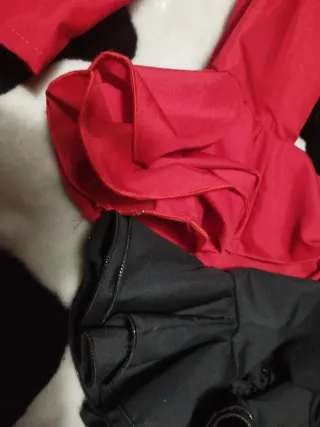 2 Camisas Flamenca Sevillana