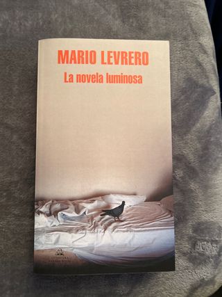 La novela luminosa (Spanish Edition)