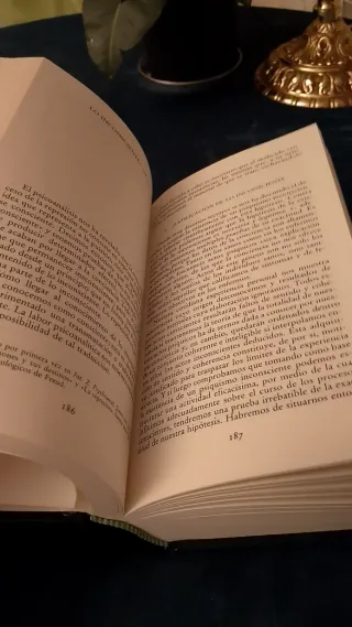 Textos Fundamentales Del Psicoanalisis [Paperback]