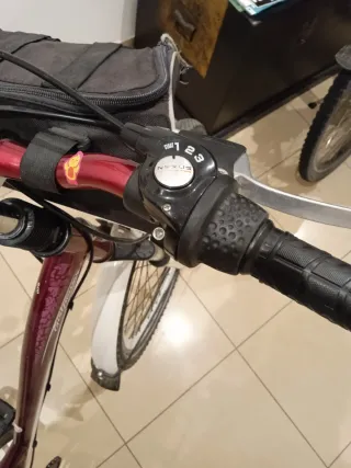 Bicicleta juvenil Alpina holandesa.