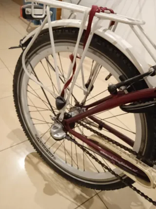 Bicicleta juvenil Alpina holandesa.