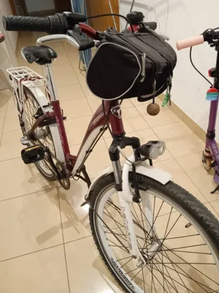 Bicicleta juvenil Alpina holandesa.