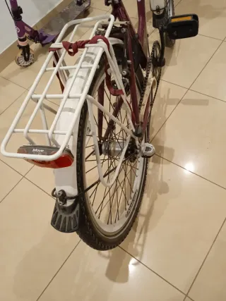 Bicicleta juvenil Alpina holandesa.