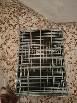 Transportín Jaula Perro Savic