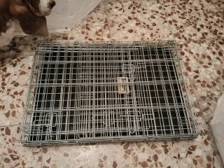 Transportín Jaula Perro Savic