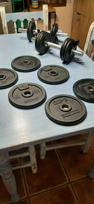 Juego de pesas y barras