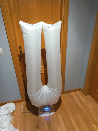 Secadora y Planchadora Automática