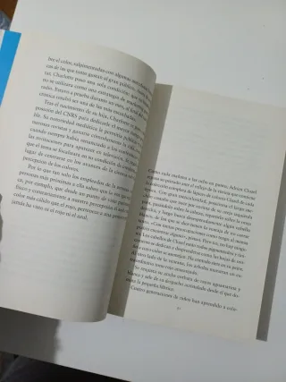 El día que amaneció sin colores