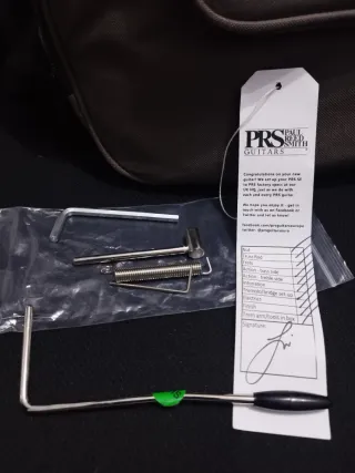 Guitarra Eléctrica PRS SE Tremonti CA