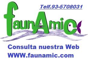 Filtro Exterior Acuario Eheim