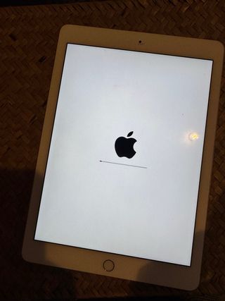 iPad Pro 9,7” 256 GB Wi-Fi + Cellular