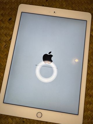 iPad Pro 9,7” 256 GB Wi-Fi + Cellular