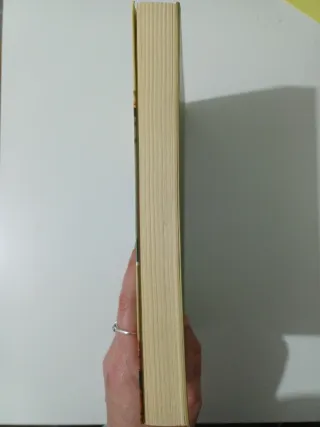 El profesor - Frank McCourt