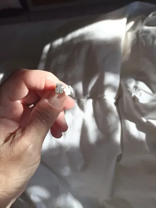 Pendientes Oso Tous Pequeños Plata