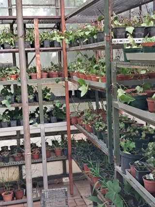 Terrarios, fuentes y cascadas decorativas