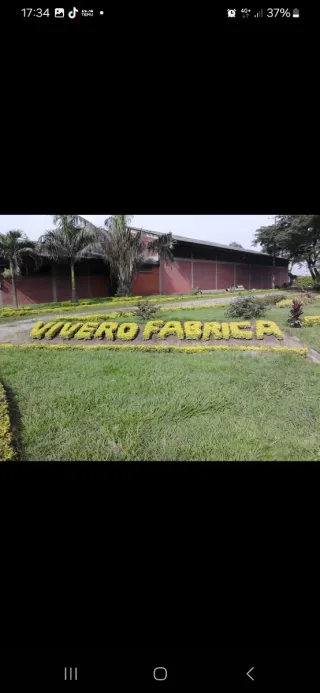 Terrarios, fuentes y cascadas decorativas