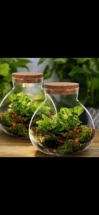 Terrarios, fuentes y cascadas decorativas