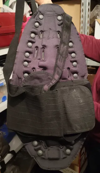 Protector Espaldera Dainese