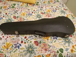 Viola Günter Klaus con arco y funda