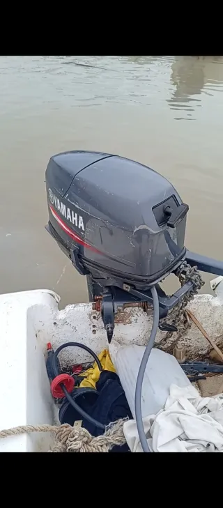 Motor fueraborda Yamaha 25 CV