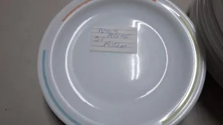 Lote Platos Arcopal Multicolor