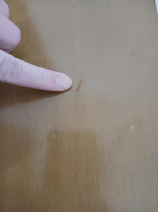 Mesa de comedor con 4 sillas