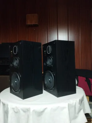 Altavoces Vieta Delta PR-400