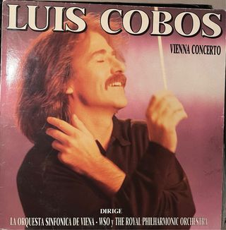 Lote de 16 Vinilos Varios Géneros ( solo inpost)