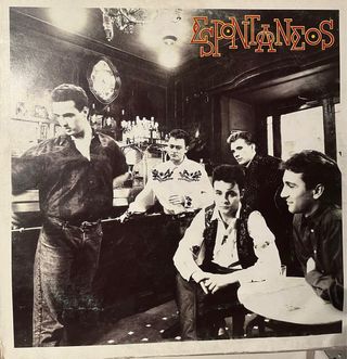 Lote de 16 Vinilos Varios Géneros ( solo inpost)