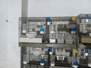 Jaulas de cría 60cm completamente equipada