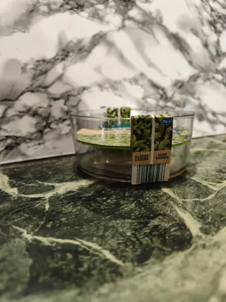 GARDENLINE Germogliare Kresse Keimschale