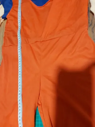 Disfraz Songoku Talla Infantil + Cabeza Goma