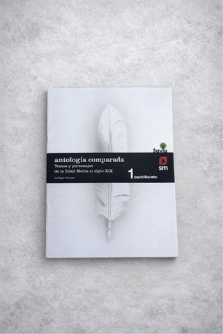 Lengua castellana y literatura. 1 Bachillerato....