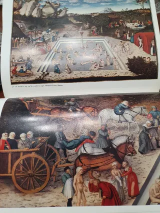 Libro pintor Cranach 50 láminas a color