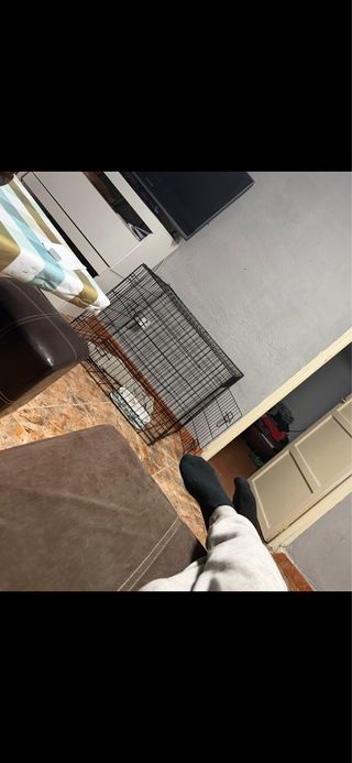 Jaula para perro