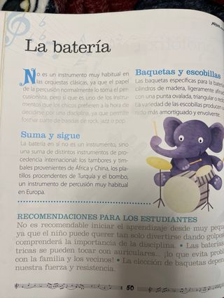 ¡Música maestro! Aprendizaje musical