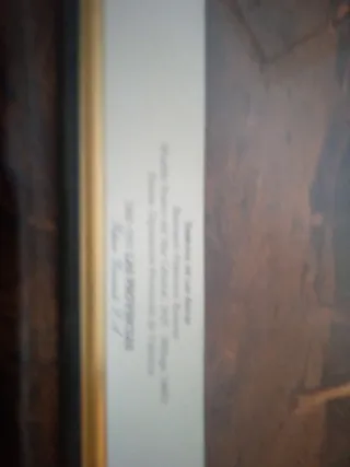 Conjunto de cuadros decorativos