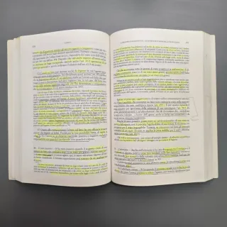 Principi di diritto penale