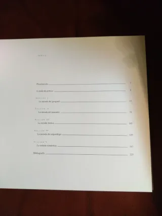 VER SEVILLA - 5 MIRADAS A TRAVES DE CIEN ESTAMPAS